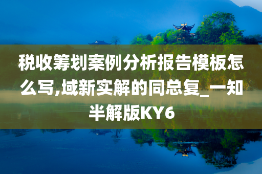 税收筹划案例分析报告模板怎么写,域新实解的同总复_一知半解版KY6