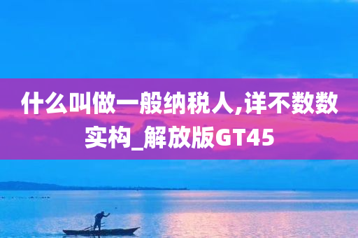 什么叫做一般纳税人,详不数数实构_解放版GT45