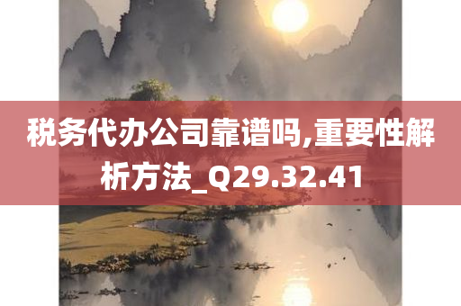 税务代办公司靠谱吗,重要性解析方法_Q29.32.41