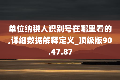 单位纳税人识别号在哪里看的,详细数据解释定义_顶级版90.47.87