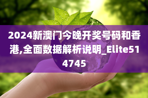 2024新澳门今晚开奖号码和香港,全面数据解析说明_Elite514745