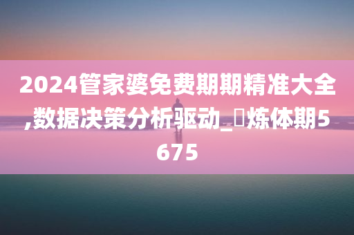 2024管家婆免费期期精准大全,数据决策分析驱动_‌炼体期5675