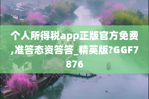 个人所得税 app