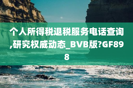 个人所得税退税服务电话查询,研究权威动态_BVB版?GF898