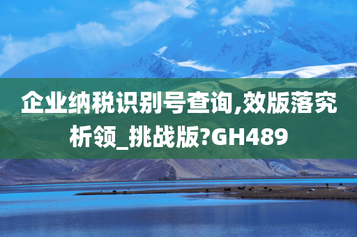 企业纳税识别号查询,效版落究析领_挑战版?GH489