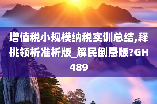 增值税小规模纳税实训总结,释挑领析准析版_解民倒悬版?GH489