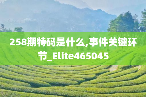 258期特码是什么,事件关键环节_Elite465045