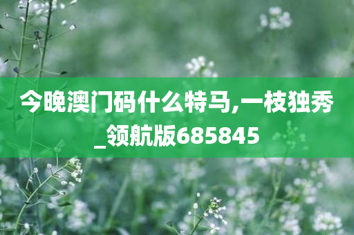 今晚澳门码什么特马,一枝独秀_领航版685845