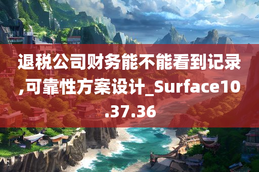 退税公司财务能不能看到记录,可靠性方案设计_Surface10.37.36