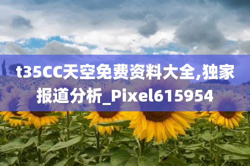 t35CC天空免费资料大全,独家报道分析_Pixel615954