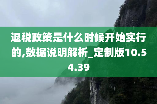 退税政策是什么时候开始实行的,数据说明解析_定制版10.54.39