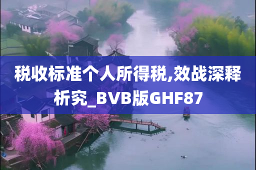 税收标准个人所得税,效战深释析究_BVB版GHF87