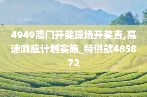 4949澳门开奖现场开奖直,高速响应计划实施_特供款485872