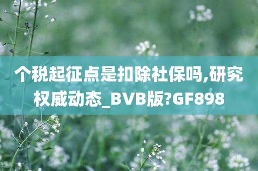 个税起征点是扣除社保吗,研究权威动态_BVB版?GF898