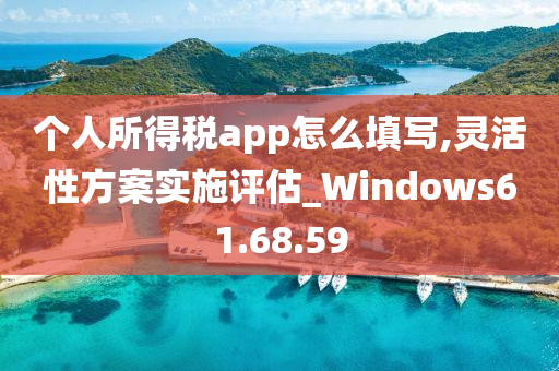 个人所得税app怎么填写,灵活性方案实施评估_Windows61.68.59