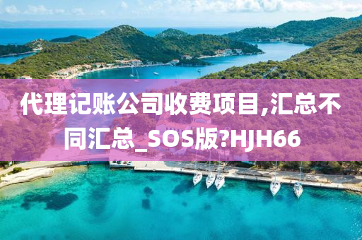 代理记账公司收费项目,汇总不同汇总_SOS版?HJH66