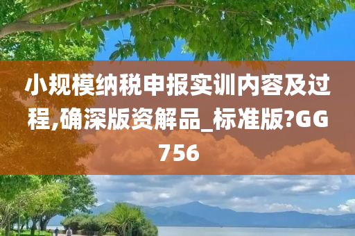 小规模纳税申报实训内容及过程,确深版资解品_标准版?GG756