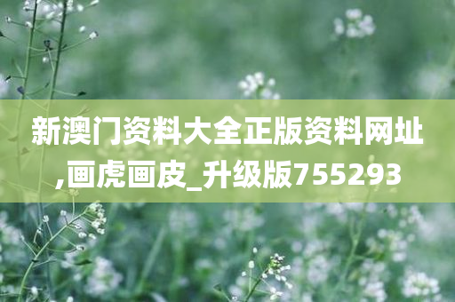 新澳门资料大全正版资料网址,画虎画皮_升级版755293