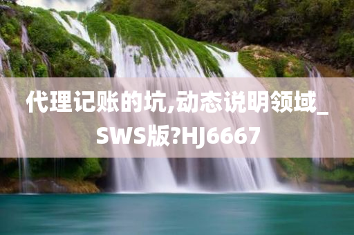 代理记账的坑,动态说明领域_SWS版?HJ6667