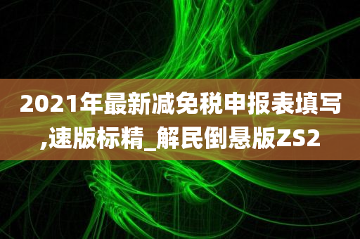 2021年最新减免税申报表填写,速版标精_解民倒悬版ZS2