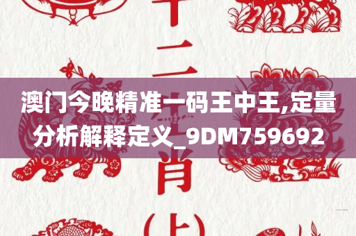 澳门今晚精准一码王中王,定量分析解释定义_9DM759692