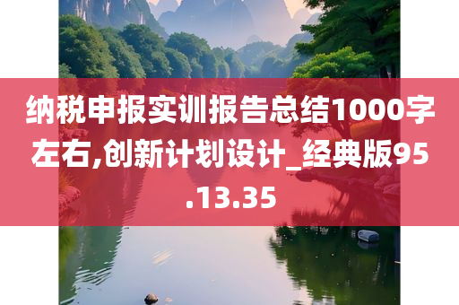 纳税申报实训报告总结1000字左右,创新计划设计_经典版95.13.35