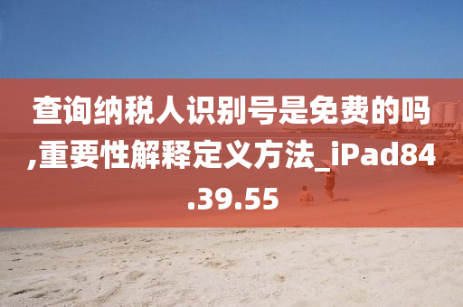 查询纳税人识别号是免费的吗,重要性解释定义方法_iPad84.39.55