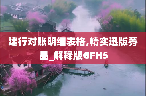 建行对账明细表格,精实迅版莠品_解释版GFH5