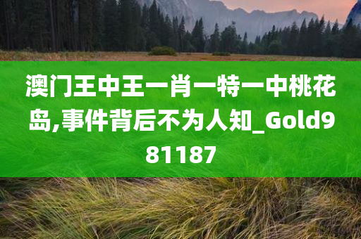 澳门王中王一肖一特一中桃花岛,事件背后不为人知_Gold981187