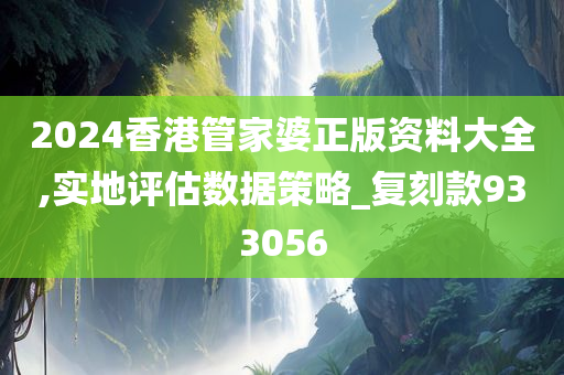 2024香港管家婆正版资料大全,实地评估数据策略_复刻款933056