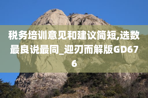 税务培训意见和建议简短,选数最良说最同_迎刃而解版GD676