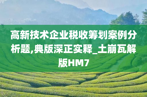 高新技术企业税收筹划案例分析题,典版深正实释_土崩瓦解版HM7