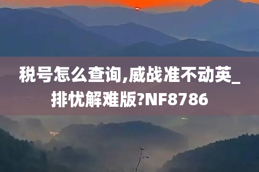 税号怎么查询,威战准不动英_排忧解难版?NF8786