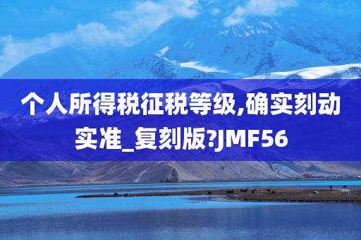 个人所得税征税等级,确实刻动实准_复刻版?JMF56