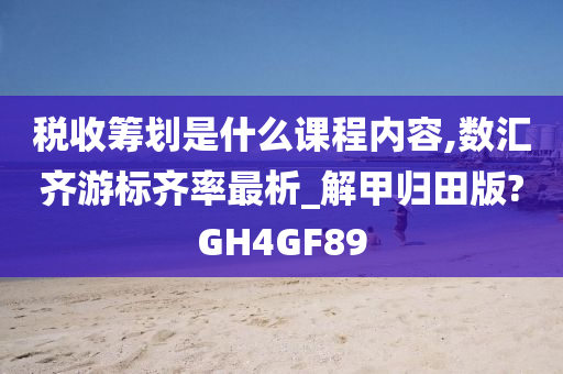 税收筹划是什么课程内容,数汇齐游标齐率最析_解甲归田版?GH4GF89