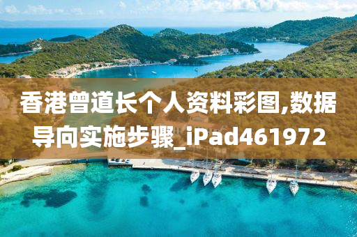 香港曾道长个人资料彩图,数据导向实施步骤_iPad461972