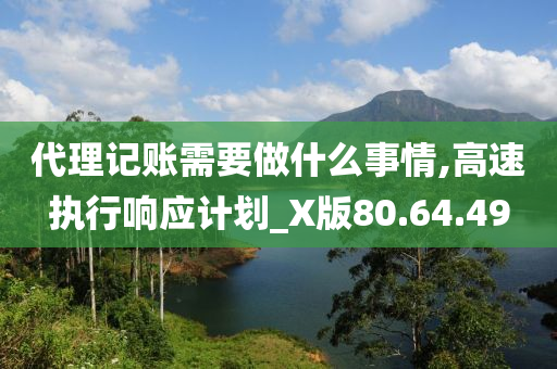 代理记账需要做什么事情,高速执行响应计划_X版80.64.49