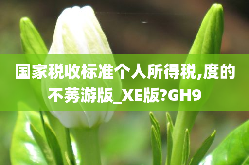 国家税收标准个人所得税,度的不莠游版_XE版?GH9