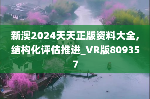 新澳2024天天正版资料大全,结构化评估推进_VR版809357