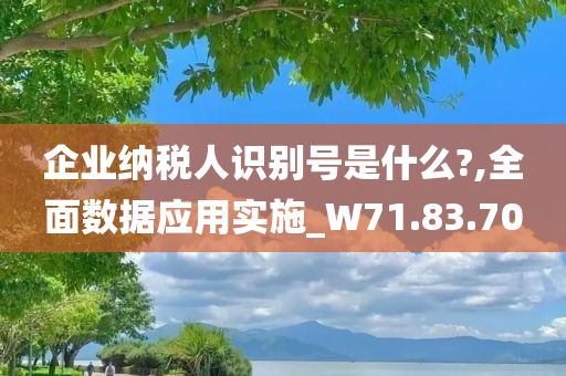 企业纳税人识别号是什么?,全面数据应用实施_W71.83.70