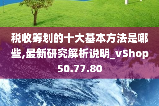 税收筹划的十大基本方法是哪些,最新研究解析说明_vShop50.77.80