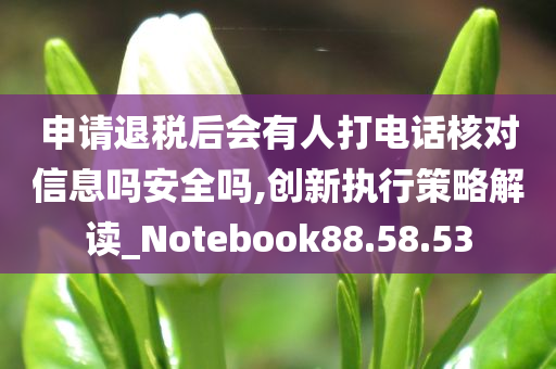 申请退税后会有人打电话核对信息吗安全吗,创新执行策略解读_Notebook88.58.53