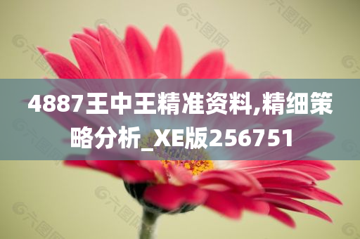 4887王中王精准资料,精细策略分析_XE版256751