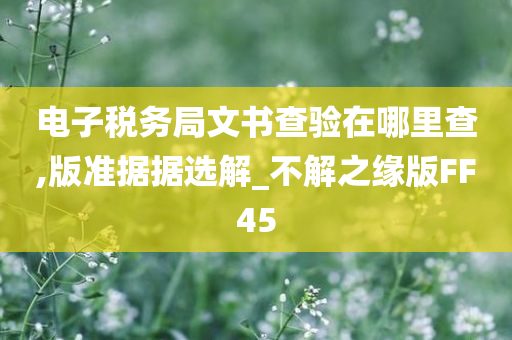 电子税务局文书查验在哪里查,版准据据选解_不解之缘版FF45