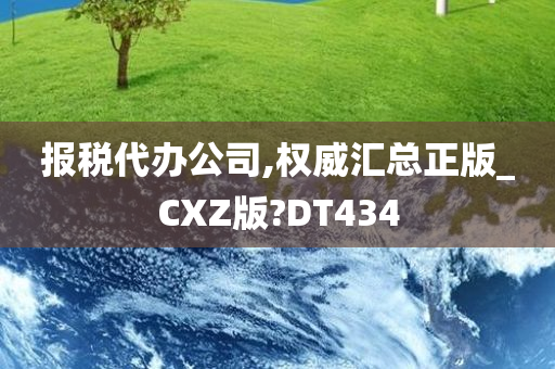 报税代办公司,权威汇总正版_CXZ版?DT434