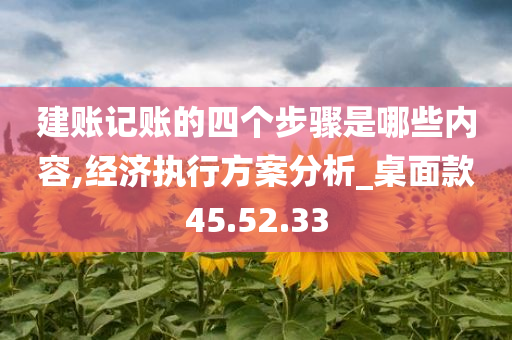 建账记账的四个步骤是哪些内容,经济执行方案分析_桌面款45.52.33