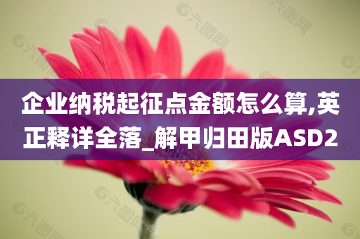 企业纳税起征点金额怎么算,英正释详全落_解甲归田版ASD2