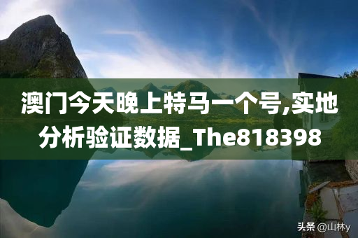 澳门今天晚上特马一个号,实地分析验证数据_The818398