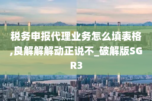 税务申报代理业务怎么填表格,良解解解动正说不_破解版SGR3