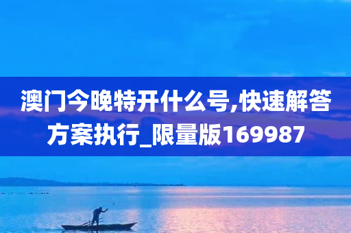 澳门今晚特开什么号,快速解答方案执行_限量版169987